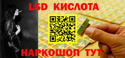 прущие грибы Кунгур