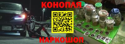 прущие грибы Кунгур