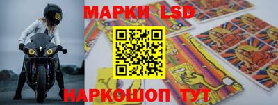 прущие грибы Кунгур