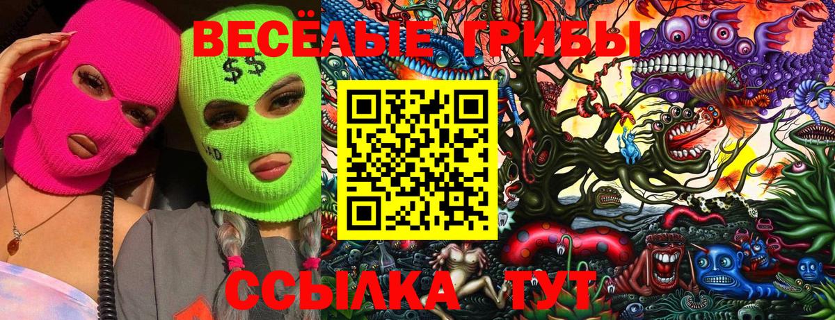 купить наркотик  Псилоцибиновые грибы Psilocybe  Вход с VPN  Калуга 